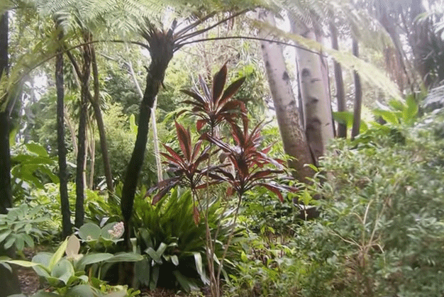 Interior del Botánico, de gran biodiversidad vegetal